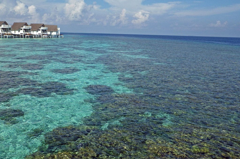 Tourism Golden Jubilee Celebration Countdown | Maldives Traveller