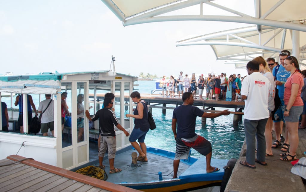 Photo of Cruising Tour with Dolphin Watch