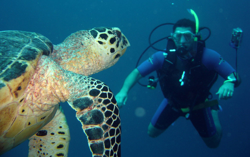 Foto von Discover Scuba Diving - Tauchen erleben