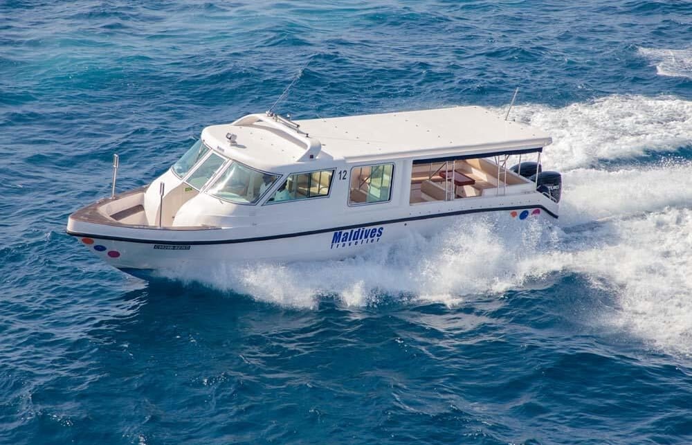 Photo of Cruising Tour with Dolphin Watch