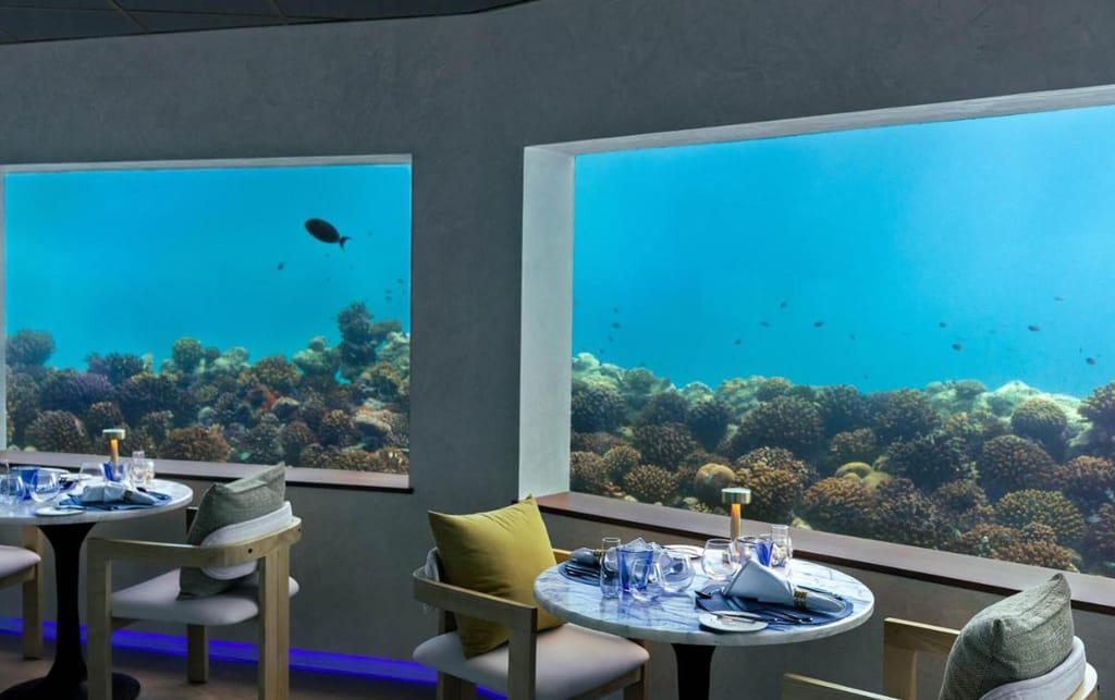Foto von Unterwasser-Dinner-Erlebnis