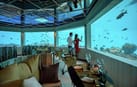 Foto von Unterwasser-Dinner-Erlebnis