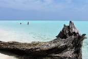 A small and nice private island in the Vaavu Atoll A small and nice private island in the Vaavu Atoll