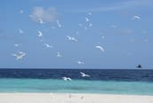 Our best excursion to a private island Our best excursion to a private island