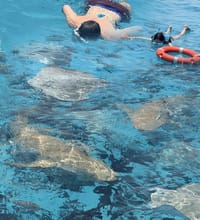 Foto von Schnorcheln mit Ammenhaien und Besuch einer Sandbank