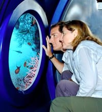 Photo of Submarine Tour - Go 45 Meters Deep
