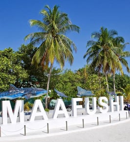 Foto von Tagestour zur Insel Maafushi