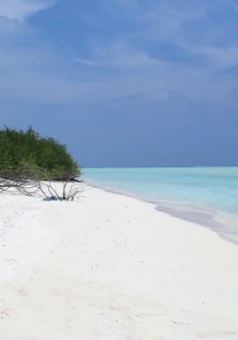 無人島の体験の写真