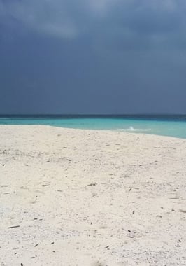無人島の体験の写真