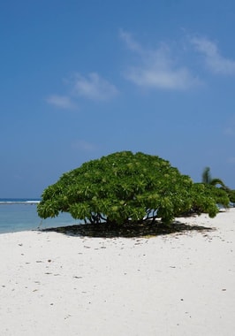 Photo of Thuraakunu (Haa Alif Atoll)