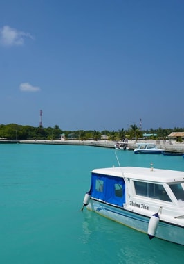 Foto di Thuraakunu (Atollo di Haa Alifu)