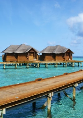 Photo of Fihalhohi Island Resort