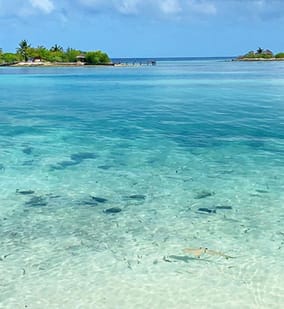 Photo of Day Visit to Adaaran Select Hudhuran Fushi