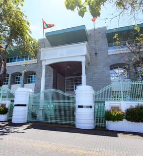 Photo of Guided Tour of Male City with Walking or Car Option