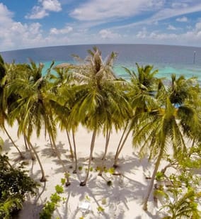 Photo of Day Tour to Maafushi Island