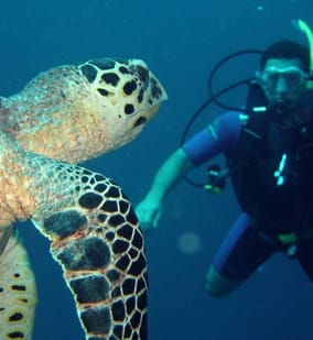 Photo of Discover Scuba Diving with Video and Photography