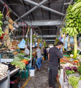 Photo of Male City Educational Tour