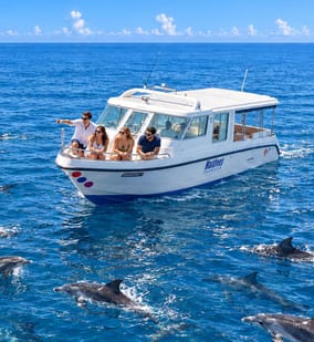 Foto di Tour in crociera con incontro con i delfini