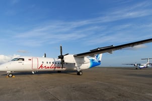 Maldivian Airline
