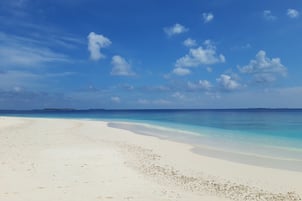 Unique Coco Experience: Private Island Embudhoo