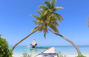 Foto von Canareef Resort Maldives