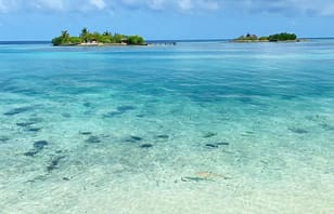 Foto von Tagesausflug zum Adaaran Select Hudhuran Fushi Foto von Tagesausflug zum Adaaran Select Hudhuran Fushi