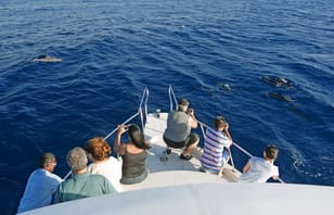 Photo of Medhufushi Island Resort