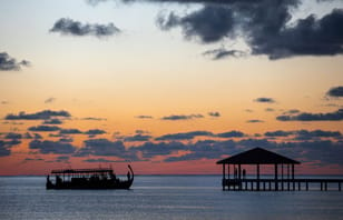 Photo of South Palm Resort Maldives