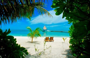 Foto von Canareef Resort Maldives