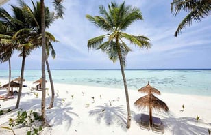 Foto di Hotel Riu Atoll