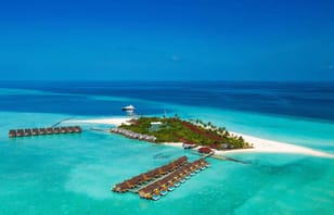 Foto von Dhigufaru Island Resort