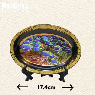 Ceramic Plate (DC003) Ceramic Plate (DC003)