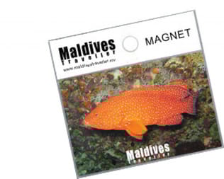 Magnete delle Maldive con foto (MGP010) Magnete delle Maldive con foto (MGP010)