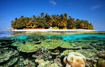 Angsana Ihuru through its vibrant coral reef Angsana Ihuru through its vibrant coral reef