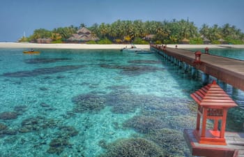 From arrival jetty with corals, Banyan Tree Vabbinfaru From arrival jetty with corals, Banyan Tree Vabbinfaru