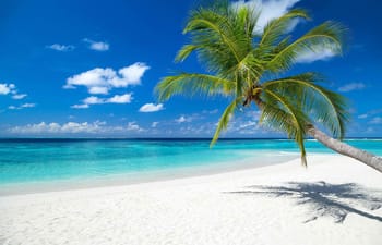 Lti Maafushivaru Maldives Lti Maafushivaru Maldives