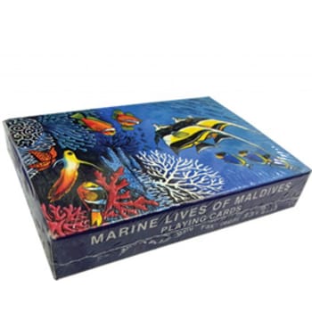 今月の25日まで期間限定セールを行います！ モルディブの紙幣セットです。