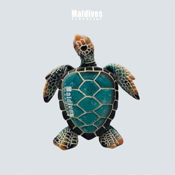 Calama da frigorifero 3D Maldives Turtles Souvenir regalo | FindTheDeal