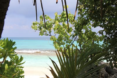 Demand Soars for Maldives Guesthouses Demand Soars for Maldives Guesthouses