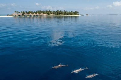 Intercontinental Maldives Maamugau Resort