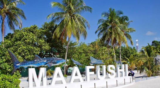 Photo of Day Tour to Maafushi Island