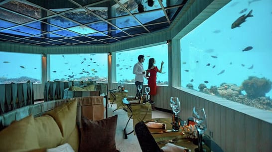 Foto von Unterwasser-Dinner-Erlebnis