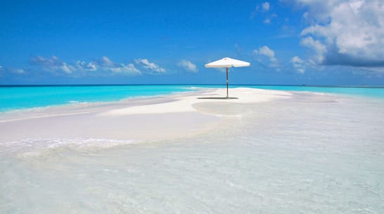 Foto von Schnorcheln mit Ammenhaien und Besuch einer Sandbank