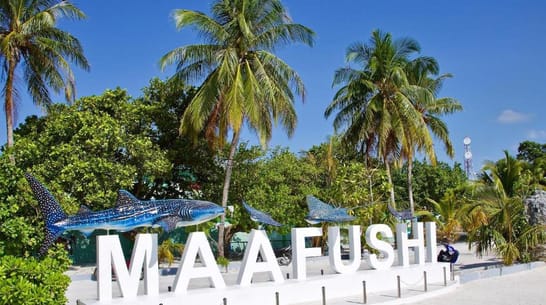 Photo of Day Tour to Maafushi Island