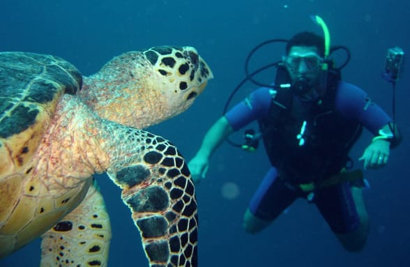 Foto von Discover Scuba Diving - Tauchen erleben