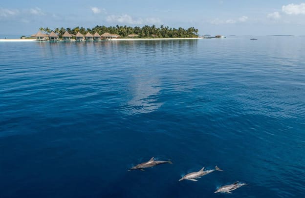 Foto di Intercontinental Maldives Maamugau Resort