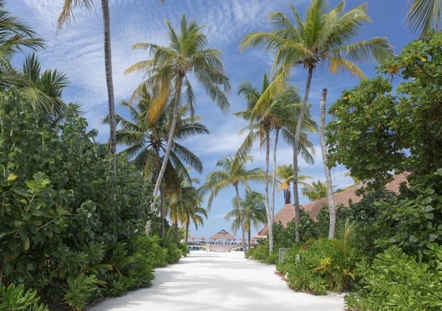 Cinnamon Velifushi Maldives Cinnamon Velifushi Maldives