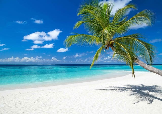 Lti Maafushivaru Maldives Lti Maafushivaru Maldives