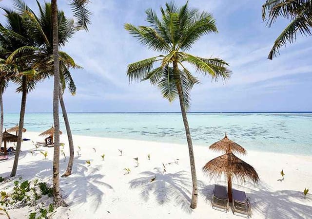 Hotel Riu Atoll Hotel Riu Atoll
