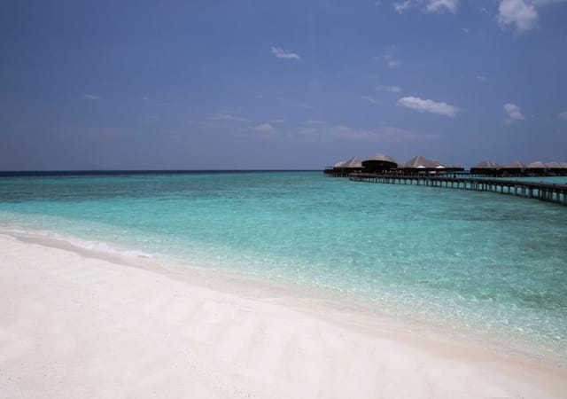 Coco Bodu Hithi Coco Bodu Hithi